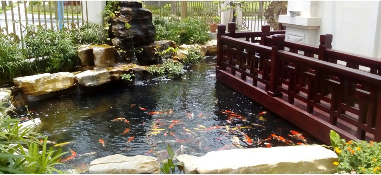 THIẾT KẾ THI CÔNG HỒ CÁ CẢNH