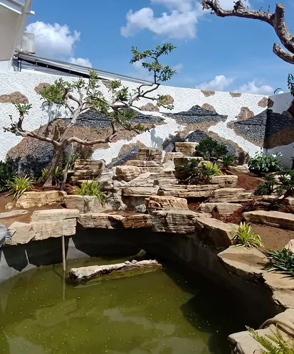 THI CÔNG  HỒ CÁ CẢNH  TRÀ VINH