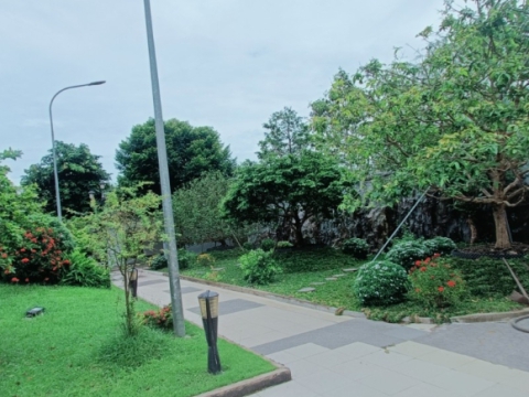 THI CÔNG SÂN VƯỜN