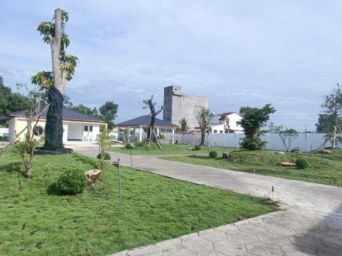Nhận thi công, chăm sóc sân vườn