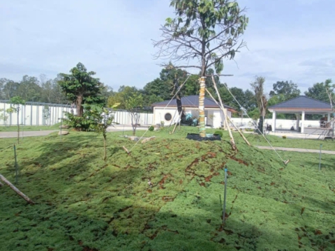 Nhận thi công, chăm sóc sân vườn
