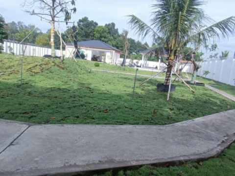 Nhận thi công, chăm sóc sân vườn