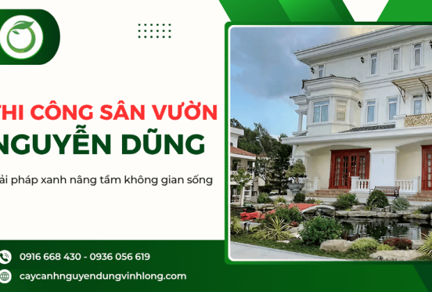 Dịch vụ thi công sân vườn chuyên nghiệp - Tạo dựng không gian xanh đẹp, bền vững