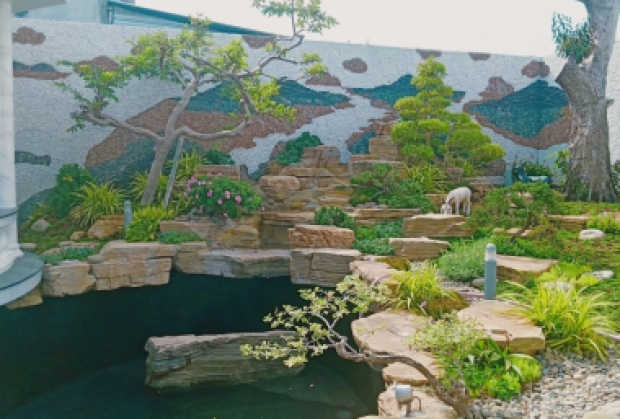 TIÊU CHUẨN CỦA MỘT HỒ CÁ KOI ĐẸP