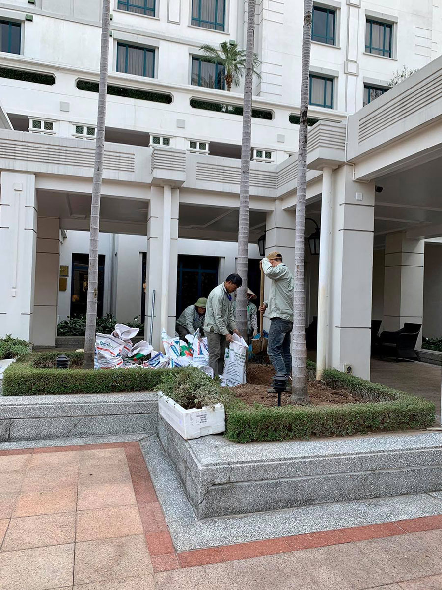 chăm sóc cây cảnh