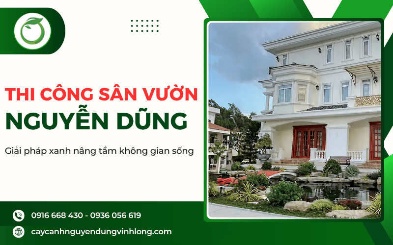 thi công sân vườn