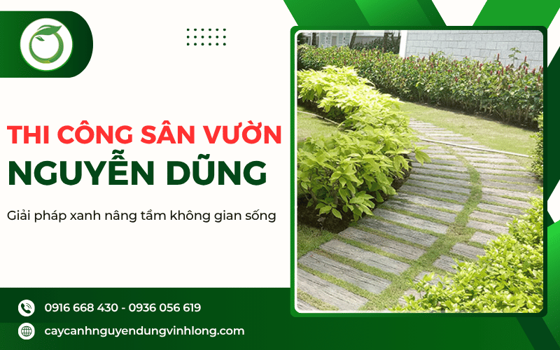 thi công sân vườn
