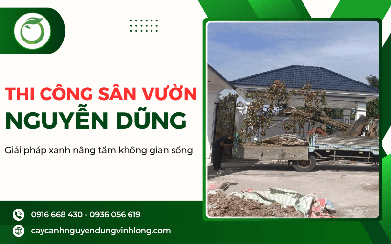thi công sân vườn