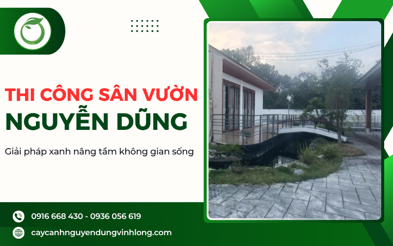 thi công sân vườn