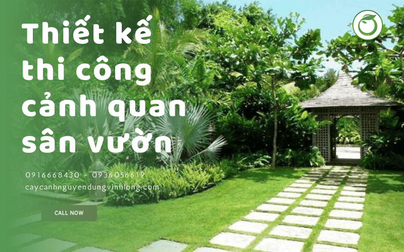 thi công cảnh qian sân vườn Vĩnh Long