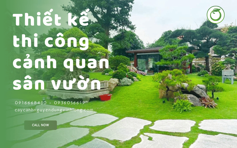 thi công cảnh qian sân vườn Vĩnh Long